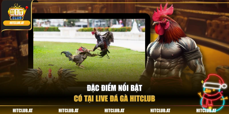 Đặc điểm nổi bật có tại live đá gà Hitclub